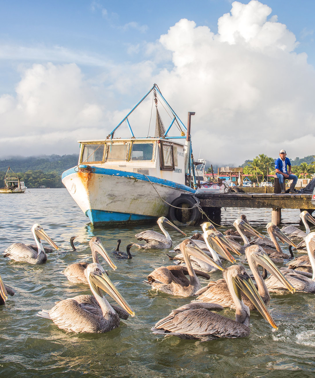 Tailor Made Atitlan